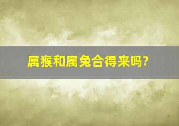 属猴和属兔合得来吗?