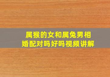 属猴的女和属兔男相婚配对吗好吗视频讲解