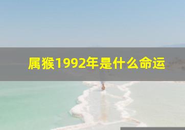 属猴1992年是什么命运