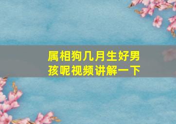 属相狗几月生好男孩呢视频讲解一下