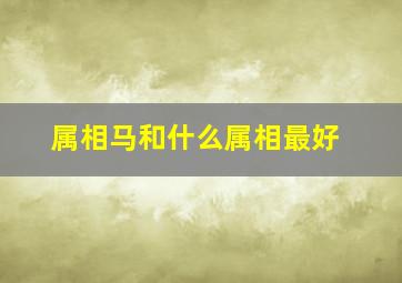 属相马和什么属相最好