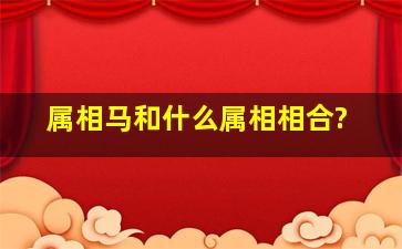 属相马和什么属相相合?