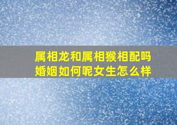 属相龙和属相猴相配吗婚姻如何呢女生怎么样