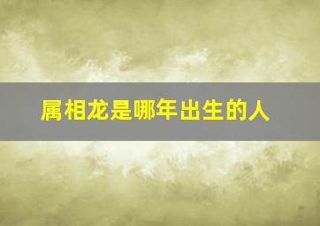 属相龙是哪年出生的人