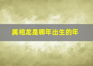 属相龙是哪年出生的年