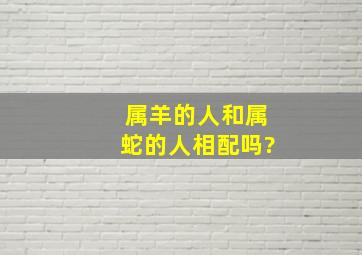 属羊的人和属蛇的人相配吗?