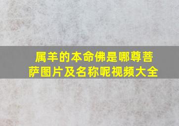 属羊的本命佛是哪尊菩萨图片及名称呢视频大全