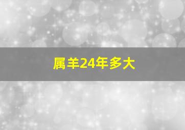 属羊24年多大