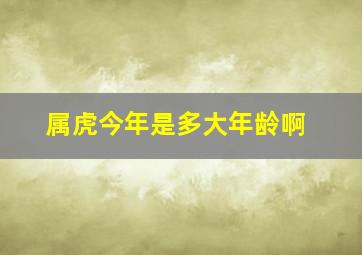 属虎今年是多大年龄啊