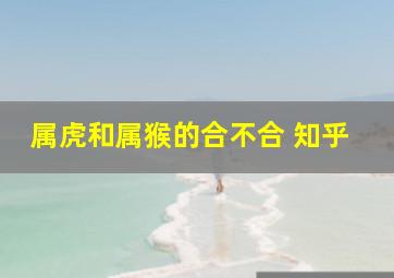 属虎和属猴的合不合 知乎