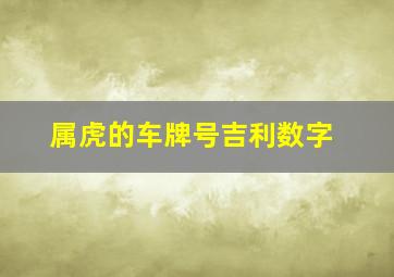 属虎的车牌号吉利数字