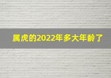 属虎的2022年多大年龄了