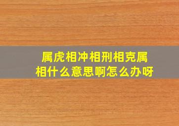 属虎相冲相刑相克属相什么意思啊怎么办呀