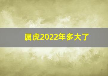 属虎2022年多大了