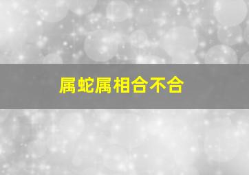 属蛇属相合不合