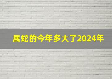 属蛇的今年多大了2024年