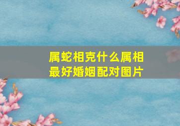 属蛇相克什么属相最好婚姻配对图片