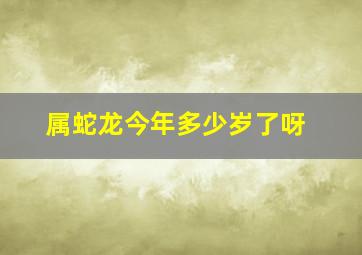 属蛇龙今年多少岁了呀