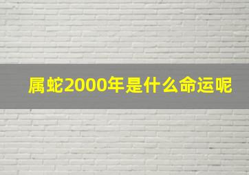 属蛇2000年是什么命运呢