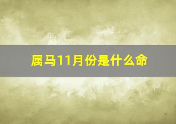 属马11月份是什么命