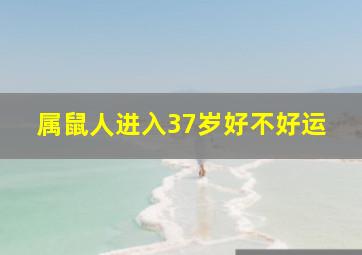 属鼠人进入37岁好不好运