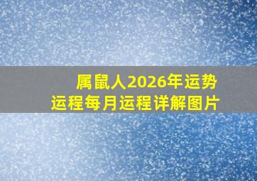 属鼠人2026年运势运程每月运程详解图片