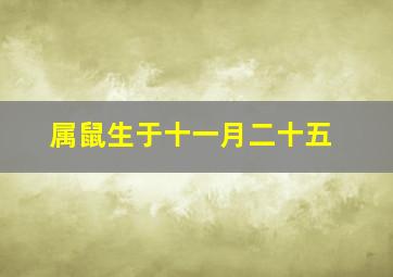 属鼠生于十一月二十五