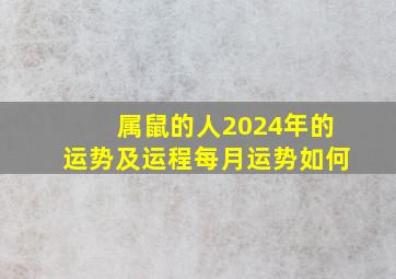 属鼠的人2024年的运势及运程每月运势如何