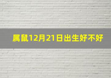 属鼠12月21日出生好不好