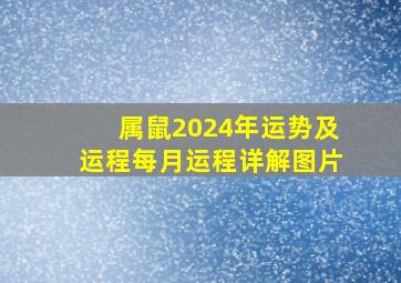 属鼠2024年运势及运程每月运程详解图片