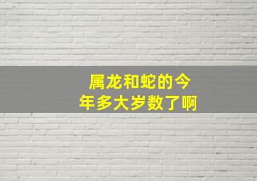 属龙和蛇的今年多大岁数了啊