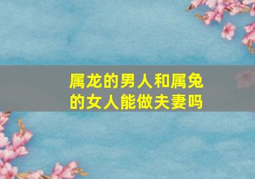 属龙的男人和属兔的女人能做夫妻吗