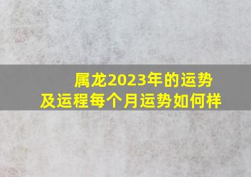 属龙2023年的运势及运程每个月运势如何样