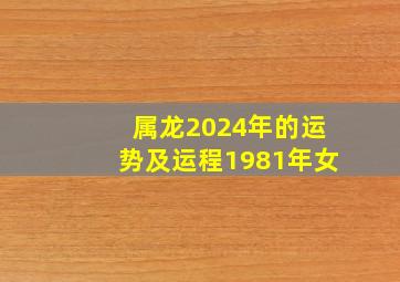 属龙2024年的运势及运程1981年女