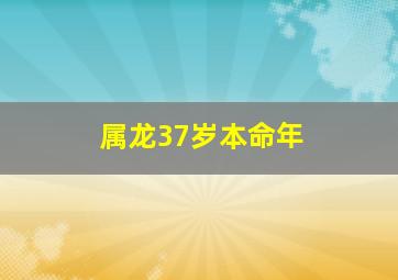 属龙37岁本命年