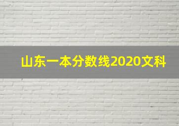 山东一本分数线2020文科