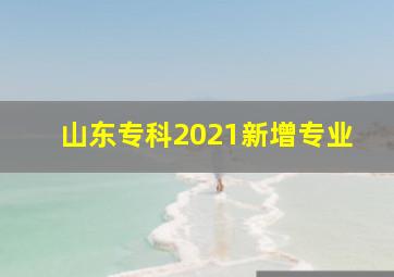 山东专科2021新增专业