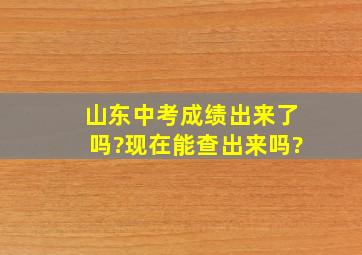 山东中考成绩出来了吗?现在能查出来吗?