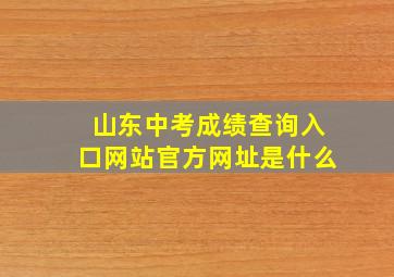 山东中考成绩查询入口网站官方网址是什么