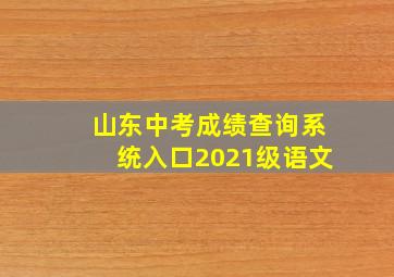 山东中考成绩查询系统入口2021级语文