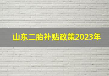 山东二胎补贴政策2023年