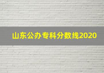 山东公办专科分数线2020