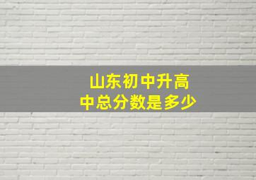 山东初中升高中总分数是多少