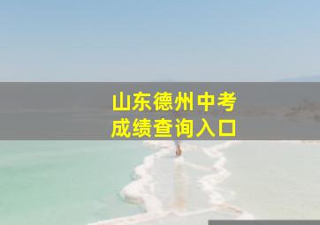 山东德州中考成绩查询入口