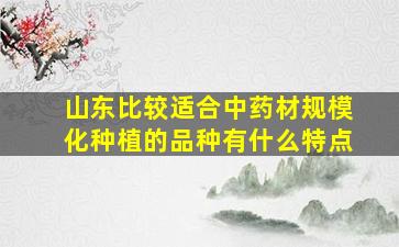 山东比较适合中药材规模化种植的品种有什么特点