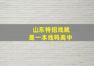 山东特招线就是一本线吗高中