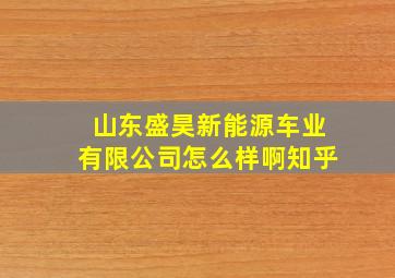 山东盛昊新能源车业有限公司怎么样啊知乎