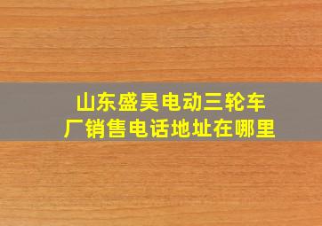 山东盛昊电动三轮车厂销售电话地址在哪里