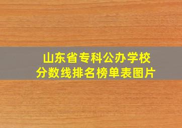 山东省专科公办学校分数线排名榜单表图片