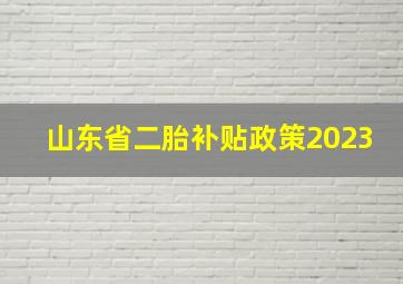 山东省二胎补贴政策2023